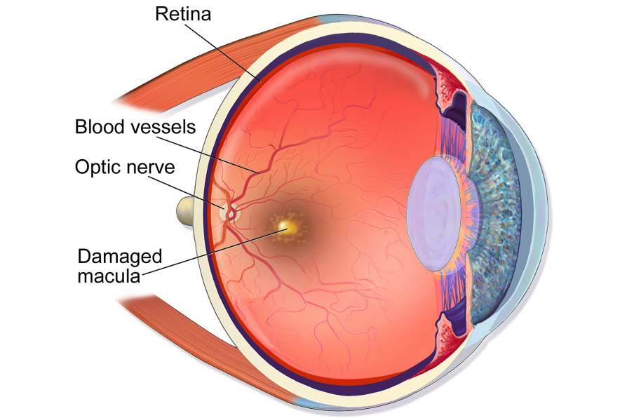 Beauty of joseon retinal eye