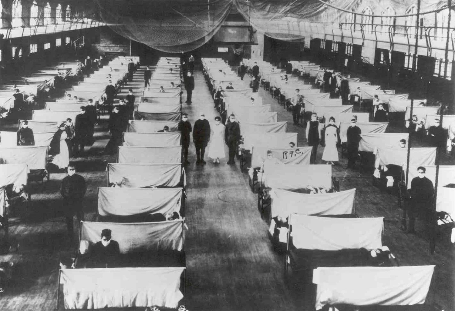 1918 Flu Pandemic Myth Debunked By Skeletal Remains | Association Of ...