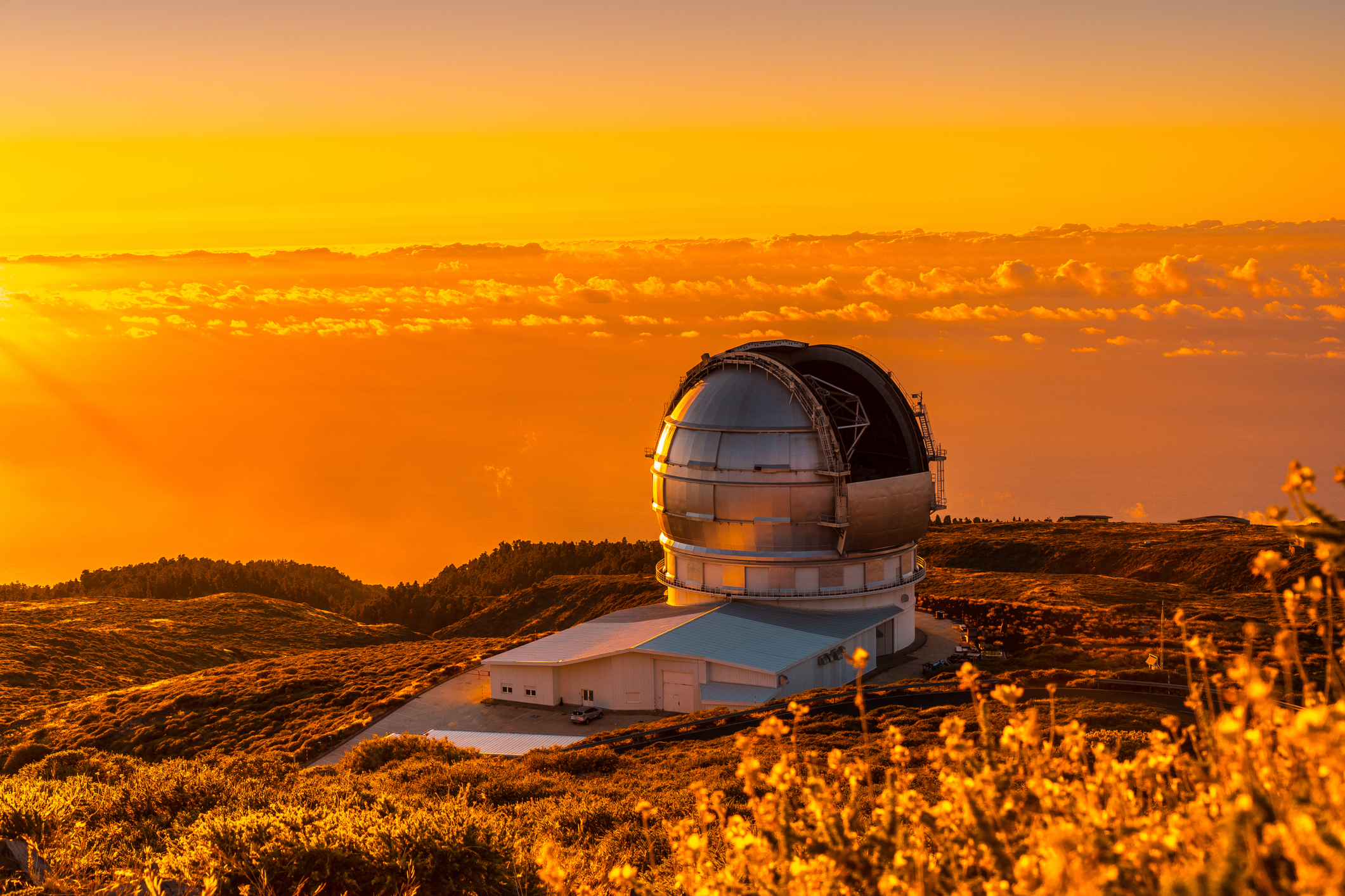 UC Santa Cruz Will Lead Development of Next Generation Telescope