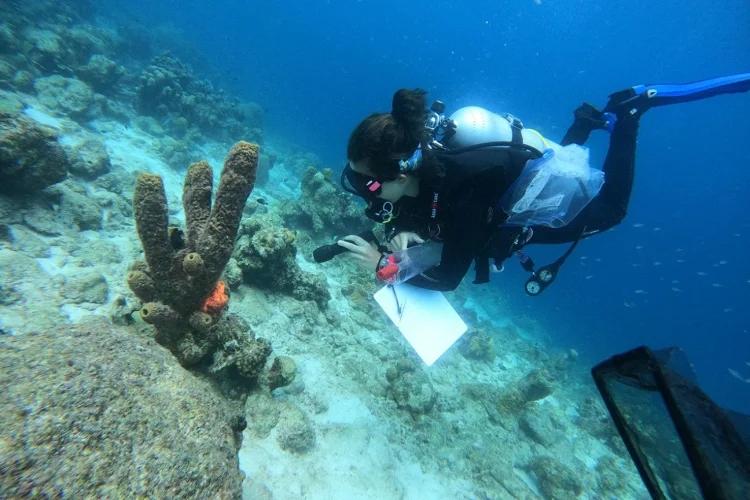 U of T Marine Biologist Dives Deep in Pursuit of Ocean Conservation ...