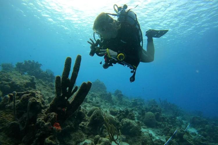 U of T Marine Biologist Dives Deep in Pursuit of Ocean Conservation ...