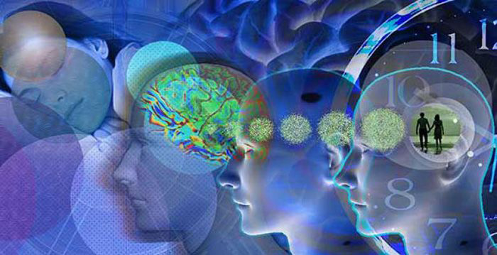 When Storing Memories, Brain Prioritizes Experiences That Are Most ...