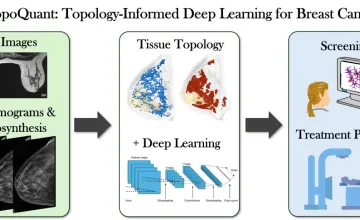 Using Mathematical Models and AI to Improve Breast Cancer Diagnosis and Treatment