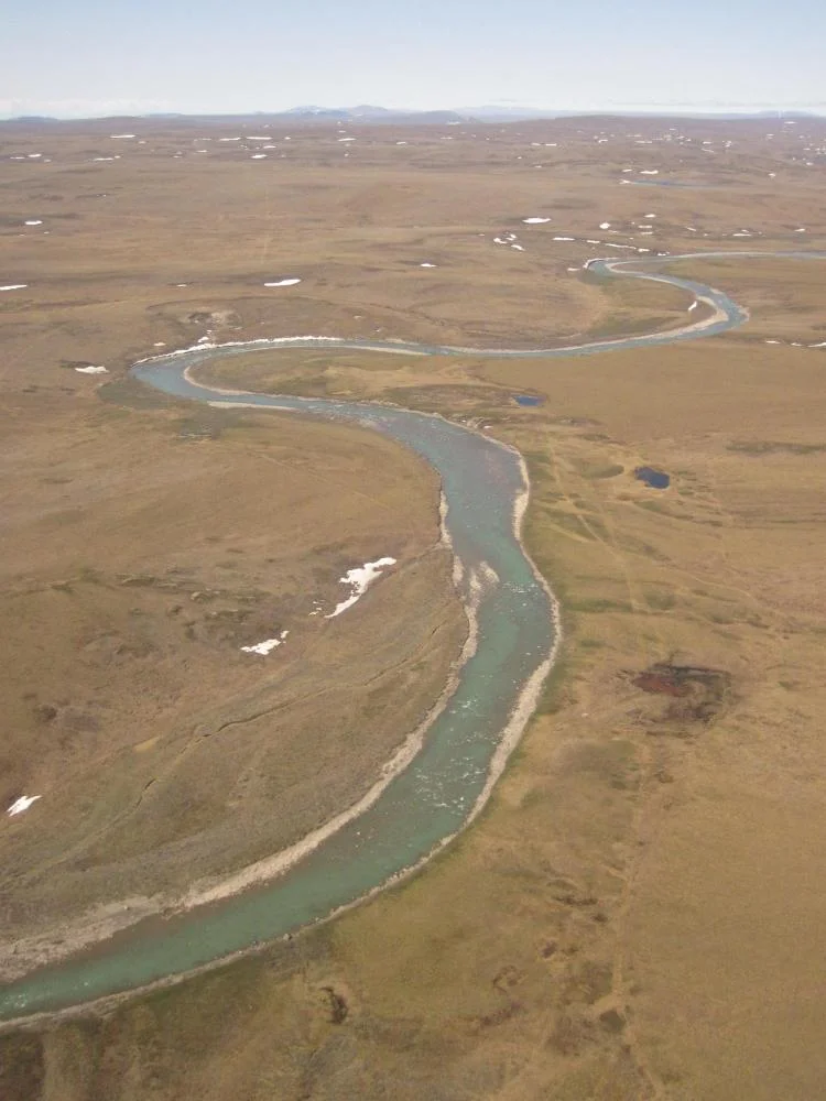 As Rising Temperatures Affect Alaskan Rivers, Effects Ripple Through ...